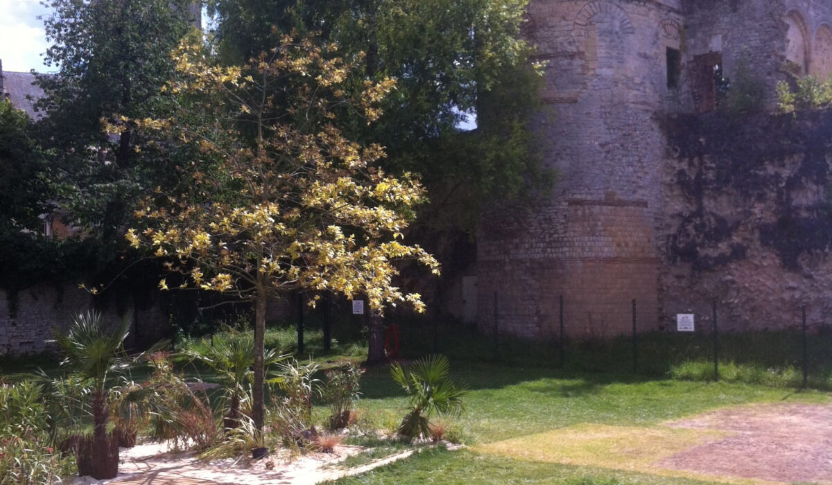 Ancien château royal